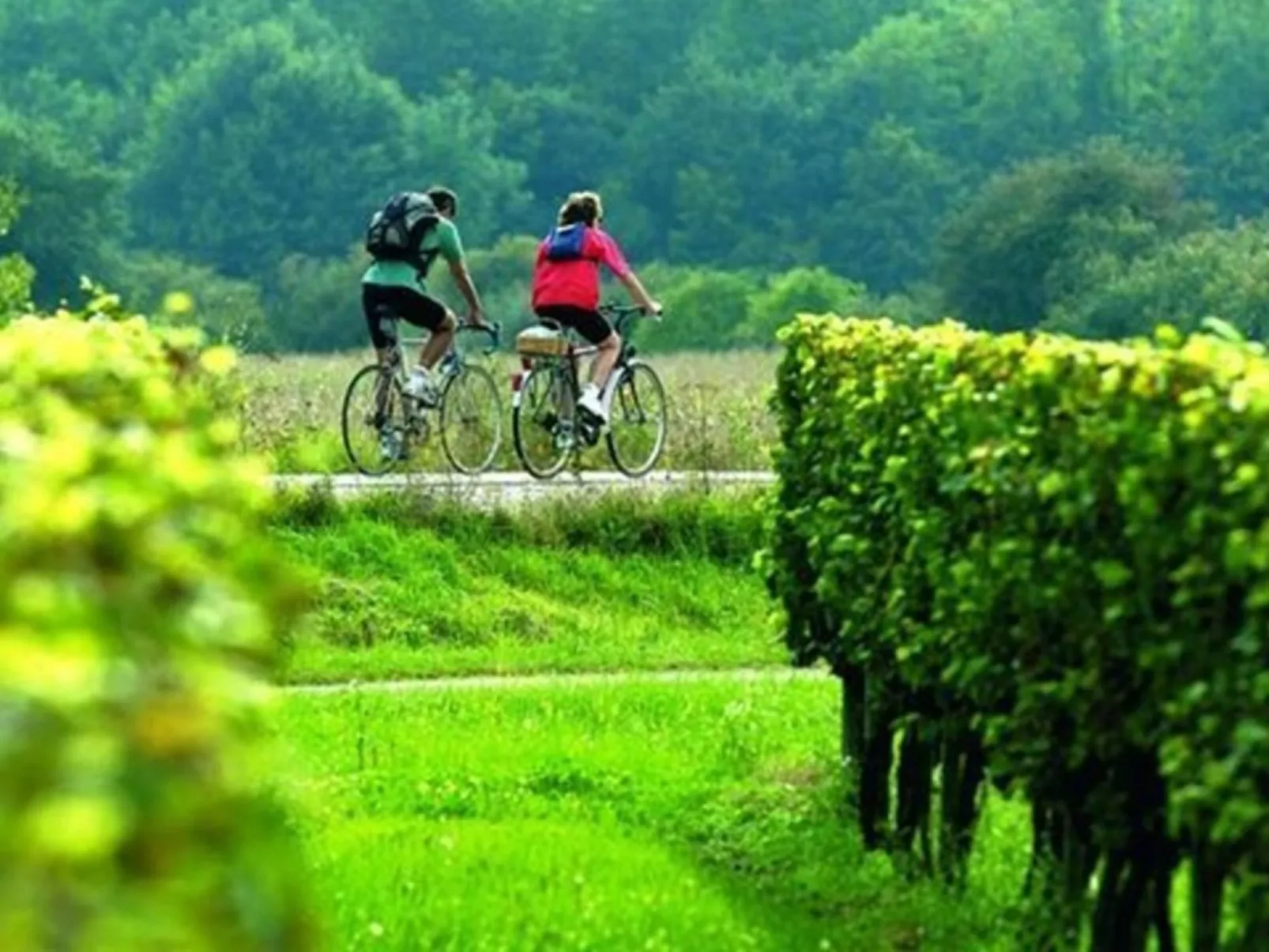 Gasthaus Villa Habana - Image-tags.info