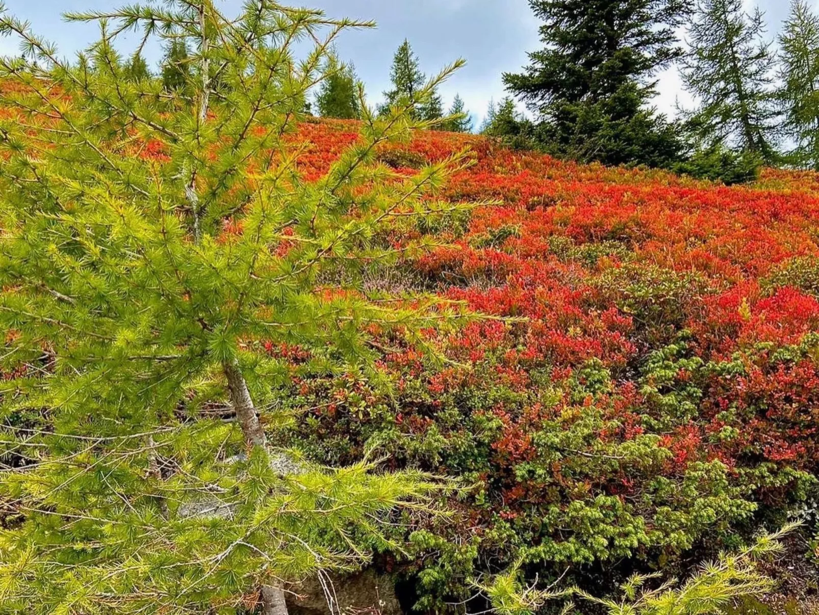 Jagdhütte - Image-tags.info