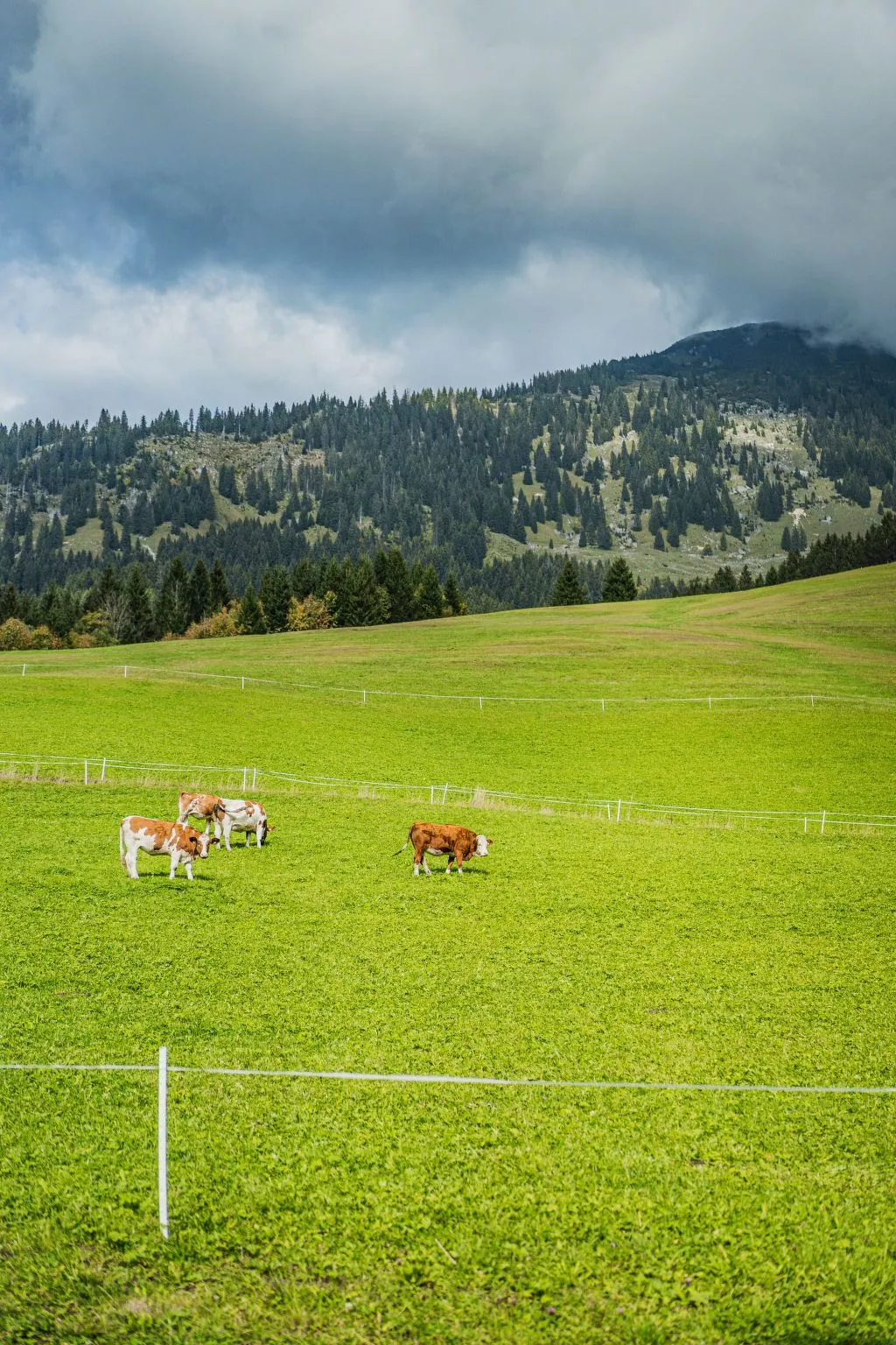 Dachstein West 3 - Image-tags.info