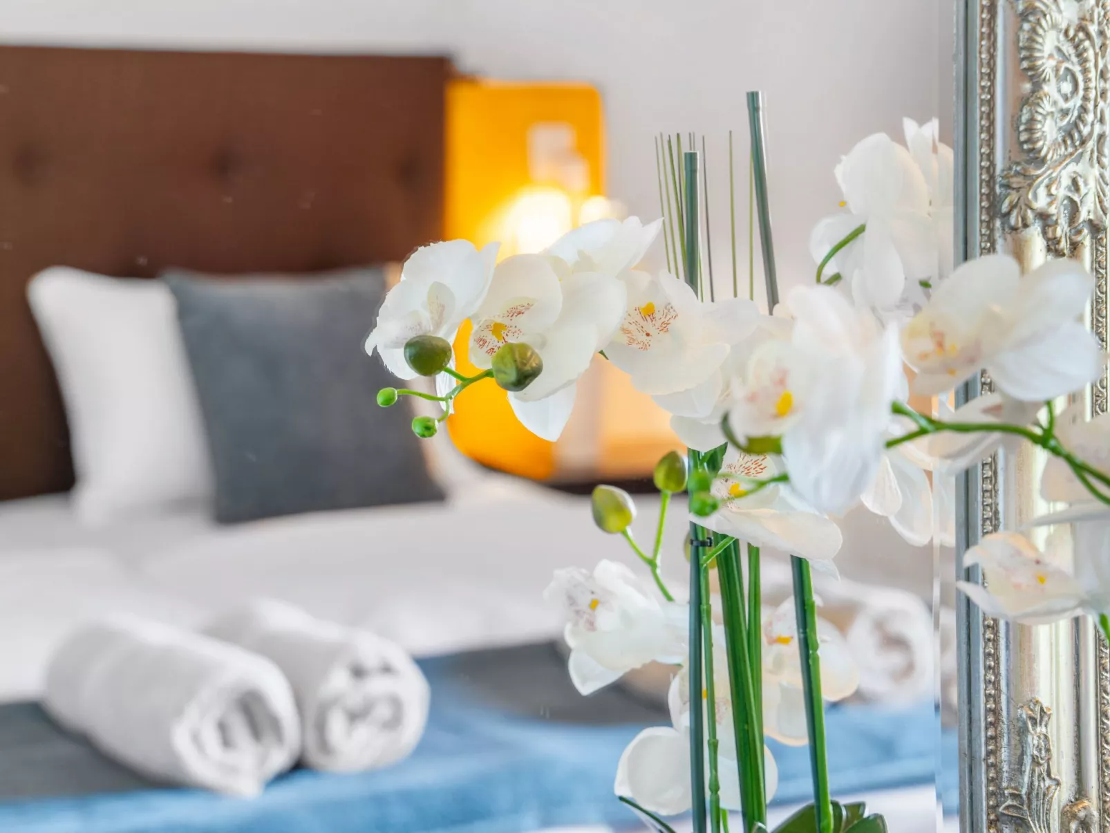 Finca Rustica Felostal - Image-tags.info