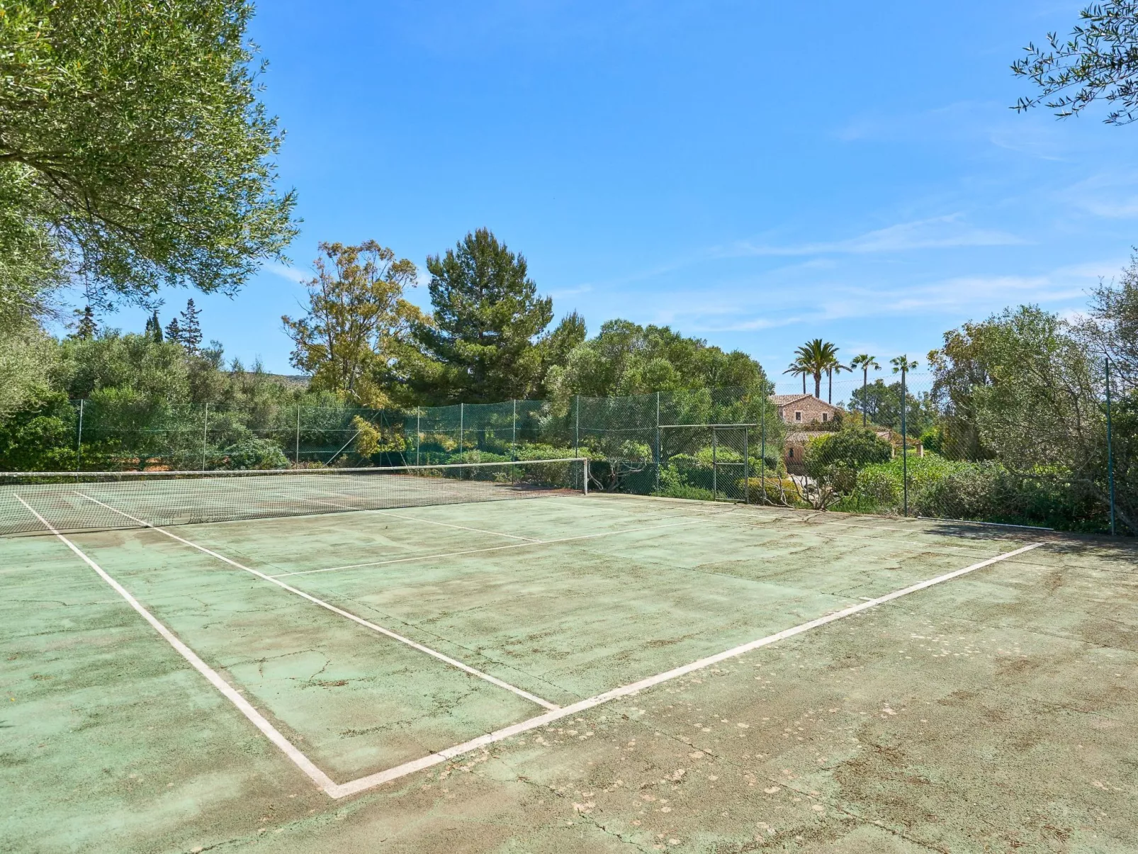 Finca Mal Ric - Buiten