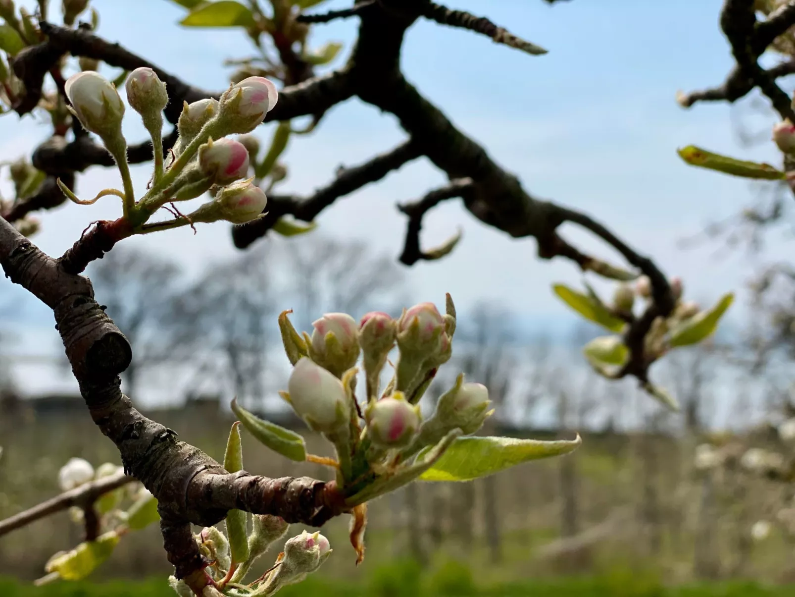 BLICKinsGRUEN - Image-tags.info