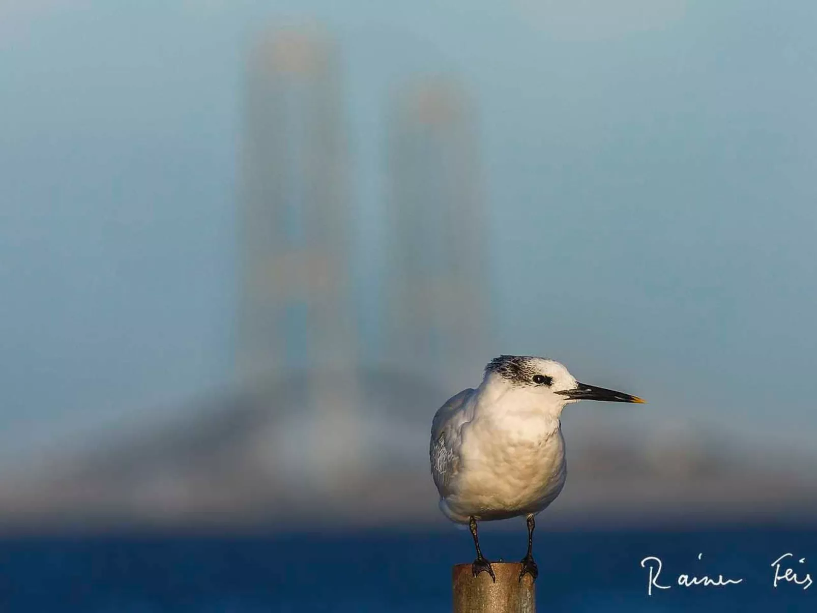 Historisches Strandanwesen mit Meerblick - Image-tags.info