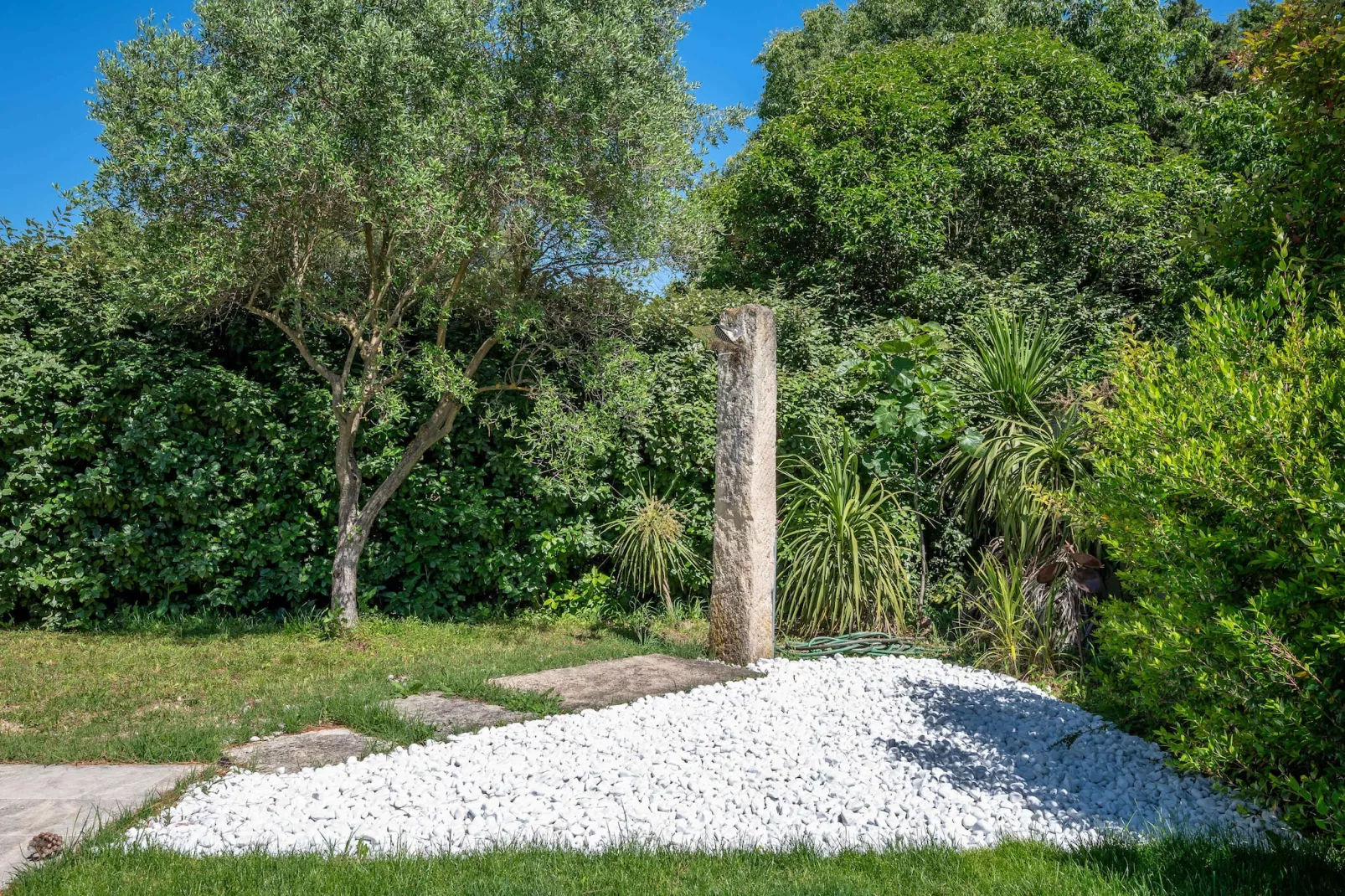 Mas prestigieux au coeur de Saint-Remy-de-Provence-Tuinen zomer
