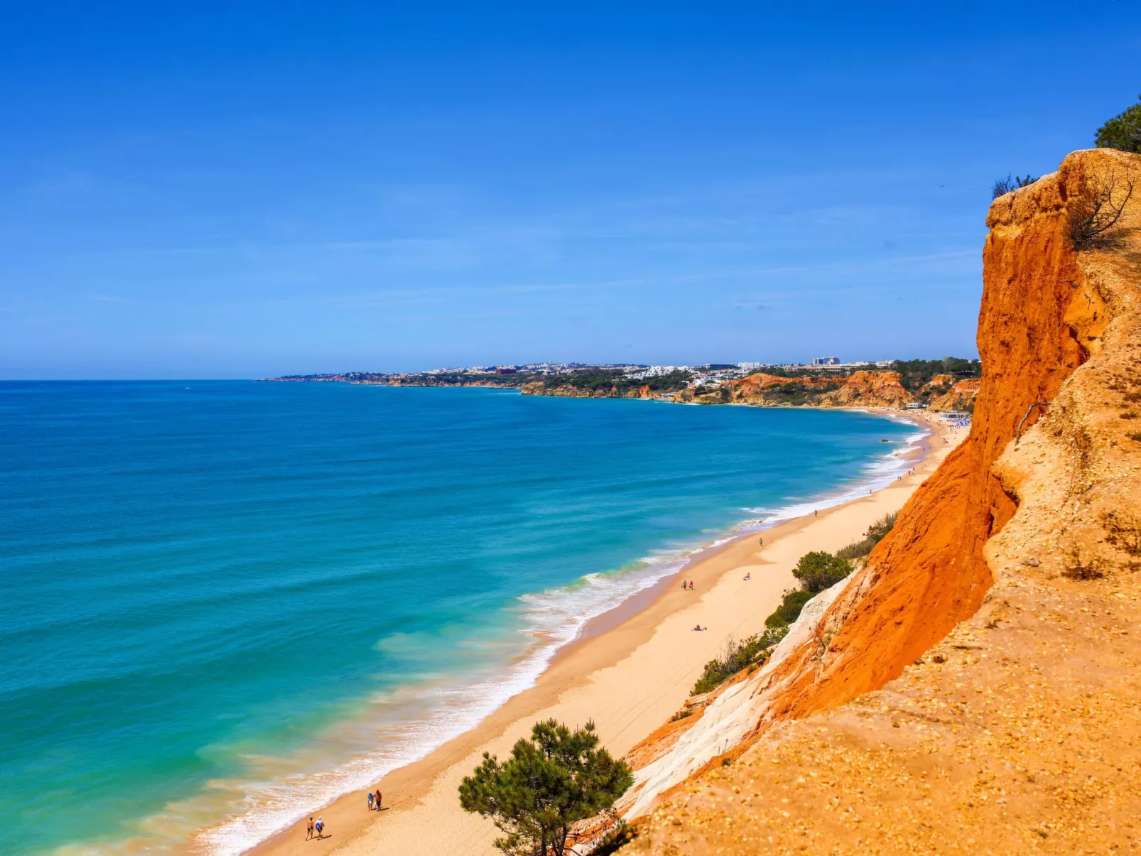 "Elena 2" mit Blick auf das Wasser - Image-tags.info