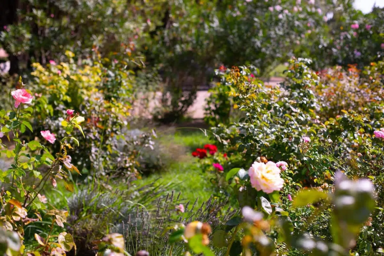 Charmant Mas Provençal avec piscine et jacuzzis-Sfeer