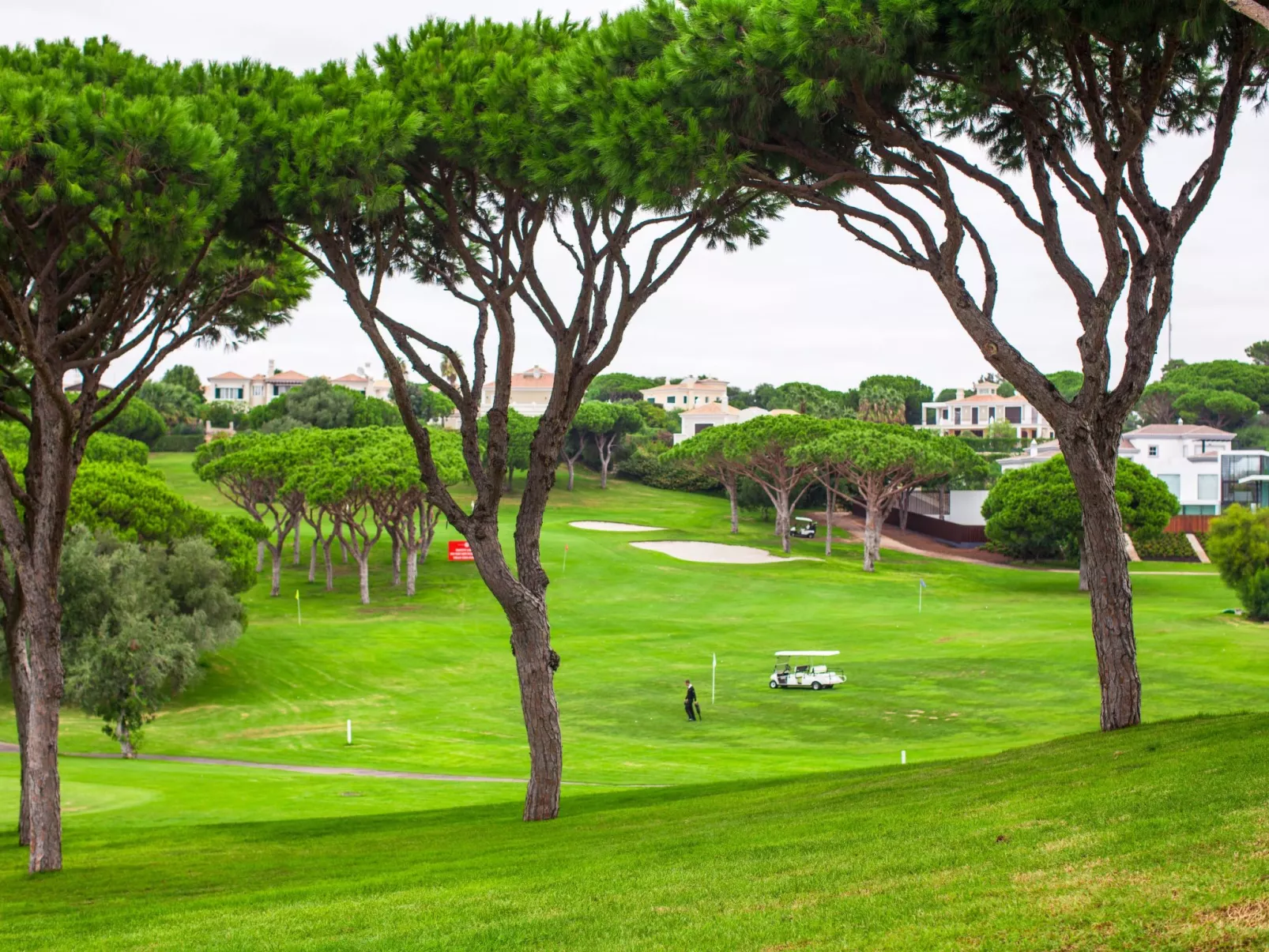 "Elena 2" mit Blick auf das Wasser - Image-tags.info