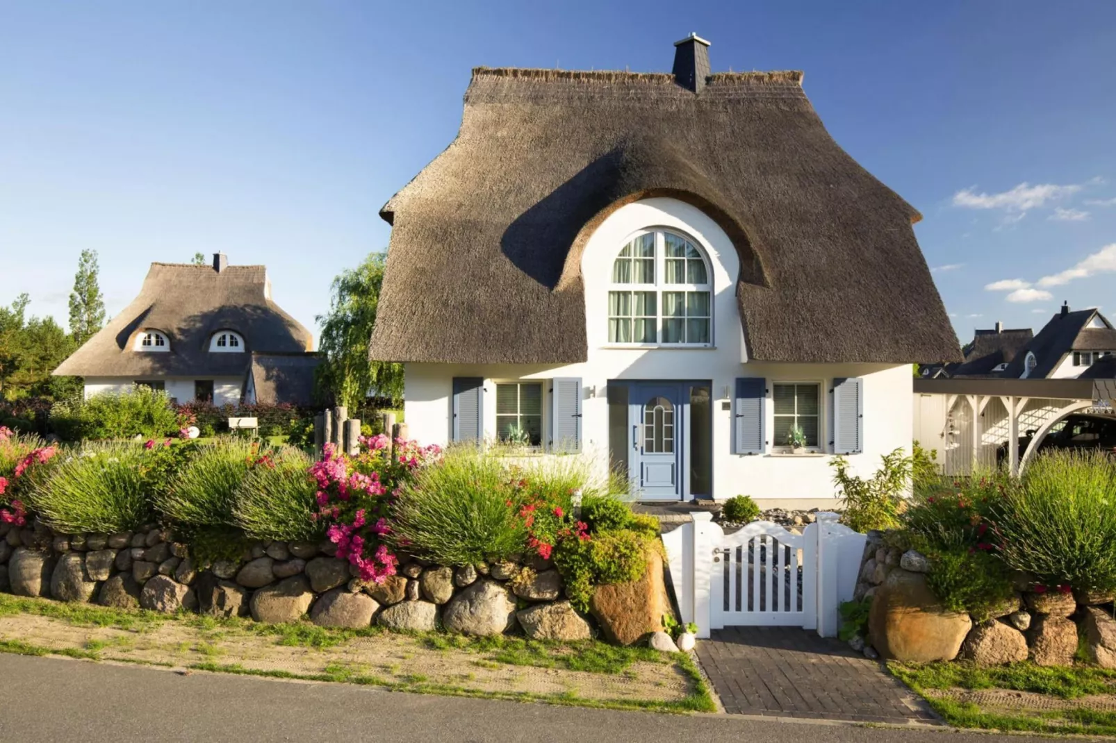 Schilfrohrsänger 18