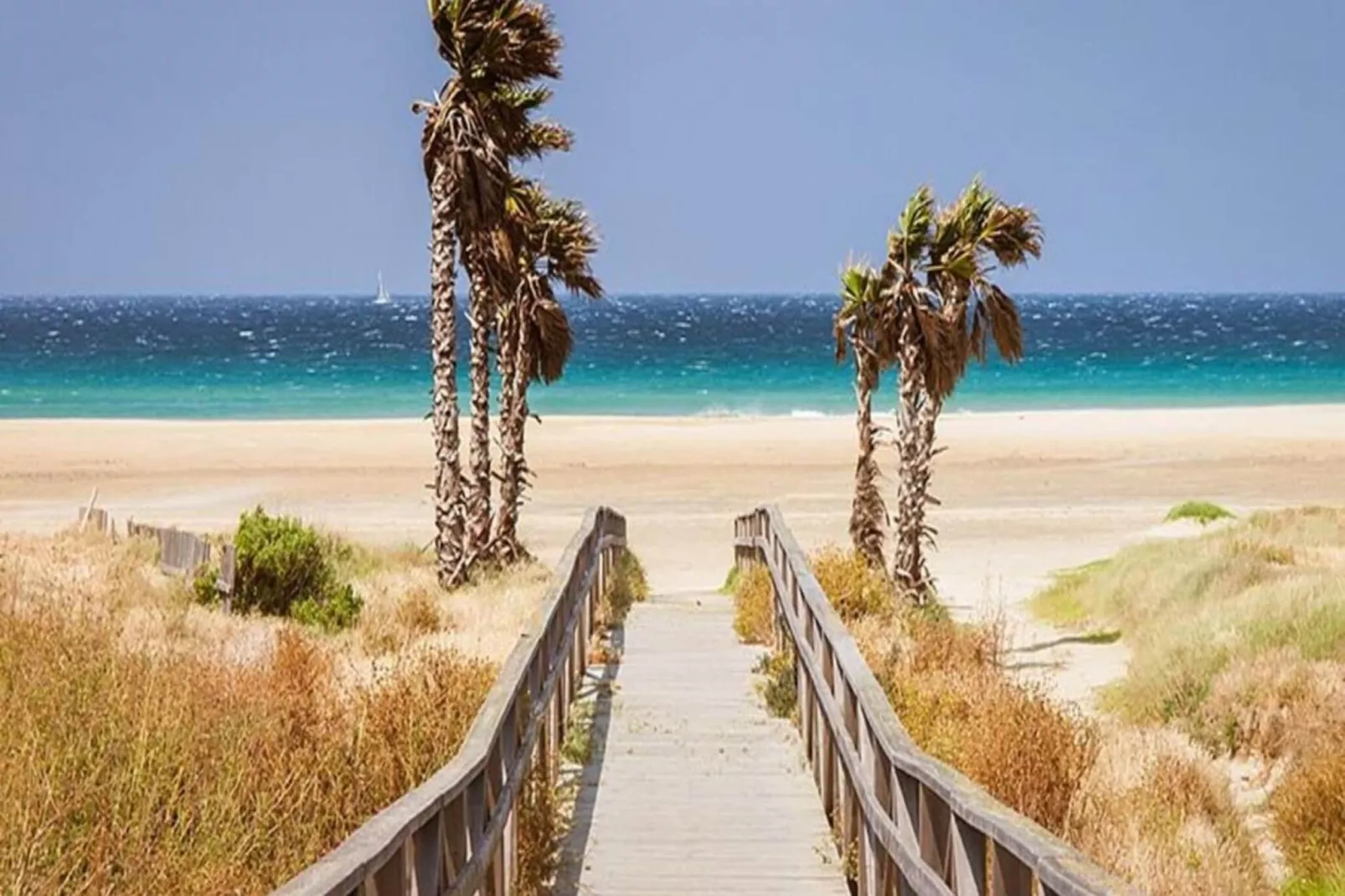 4685-+34618736920-Gebieden zomer 5km