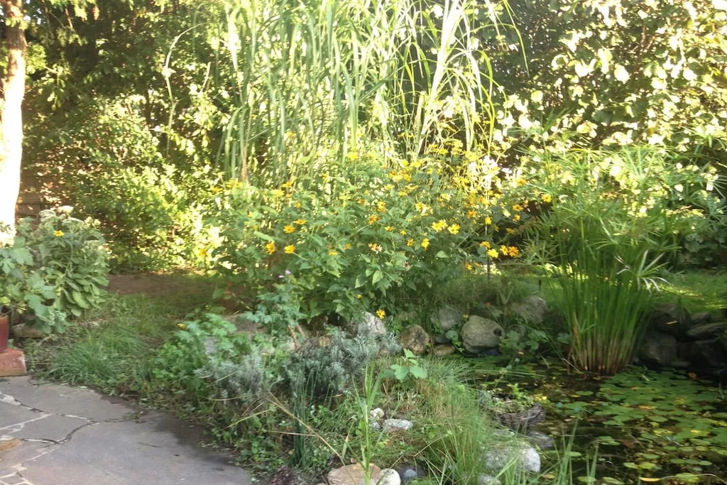 426460 - Niet-getagd