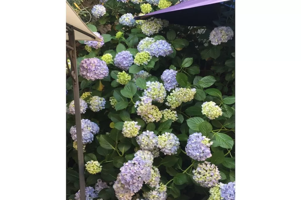 475196 - Niet-getagd