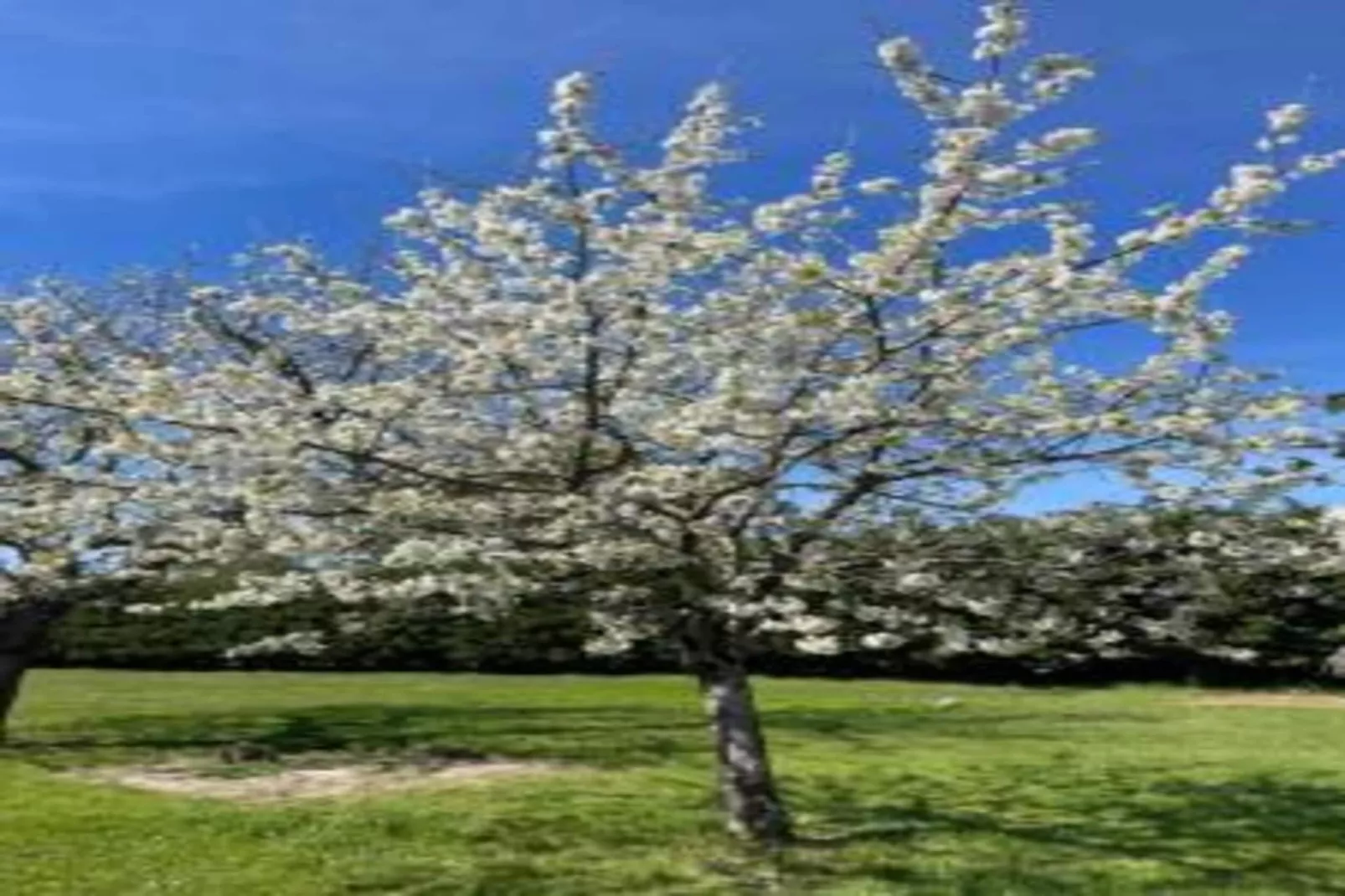 Chambre zen chez l'habitant avec piscine - Gebieden zomer 20km