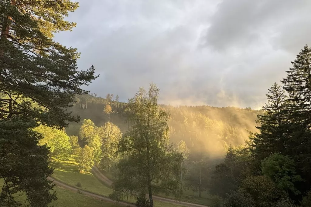 752323 - Niet-getagd