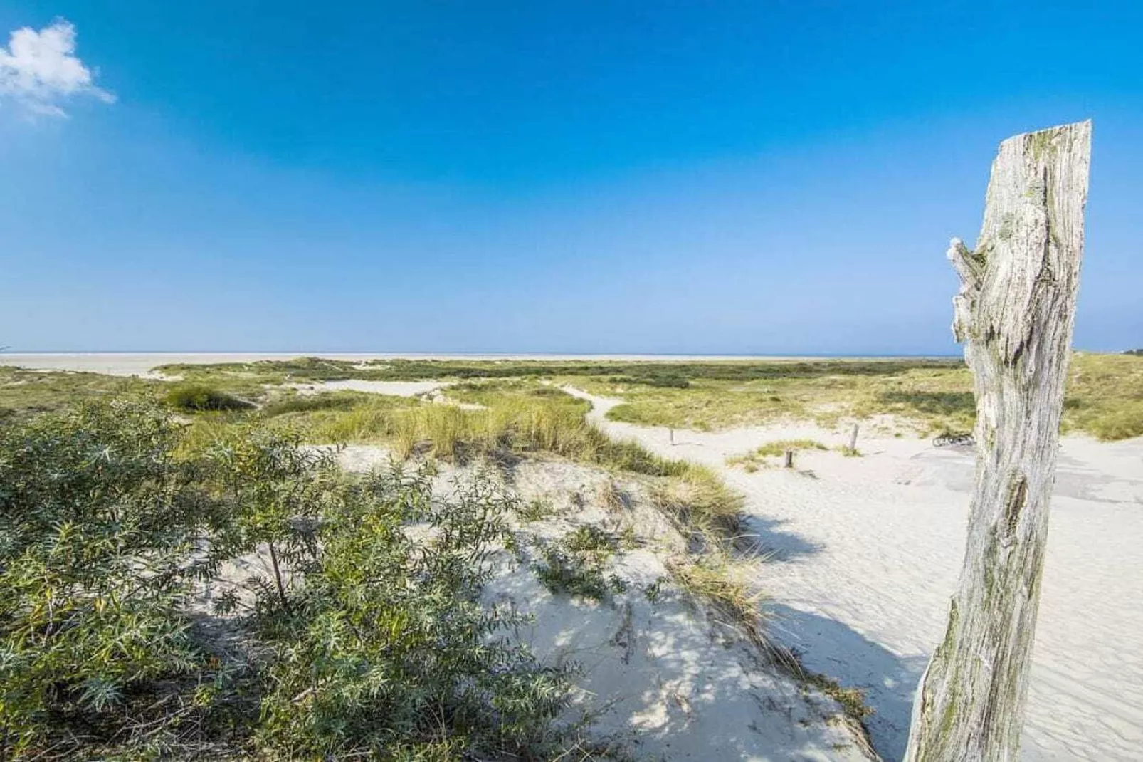 75899-Gebied winter 1km