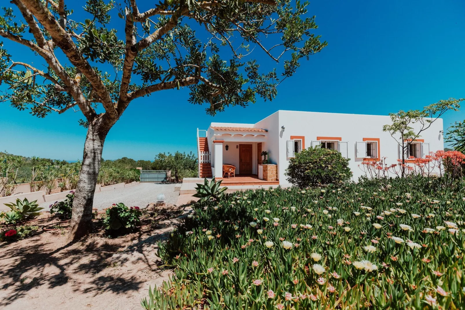 Cala Conta - Buitenkant zomer