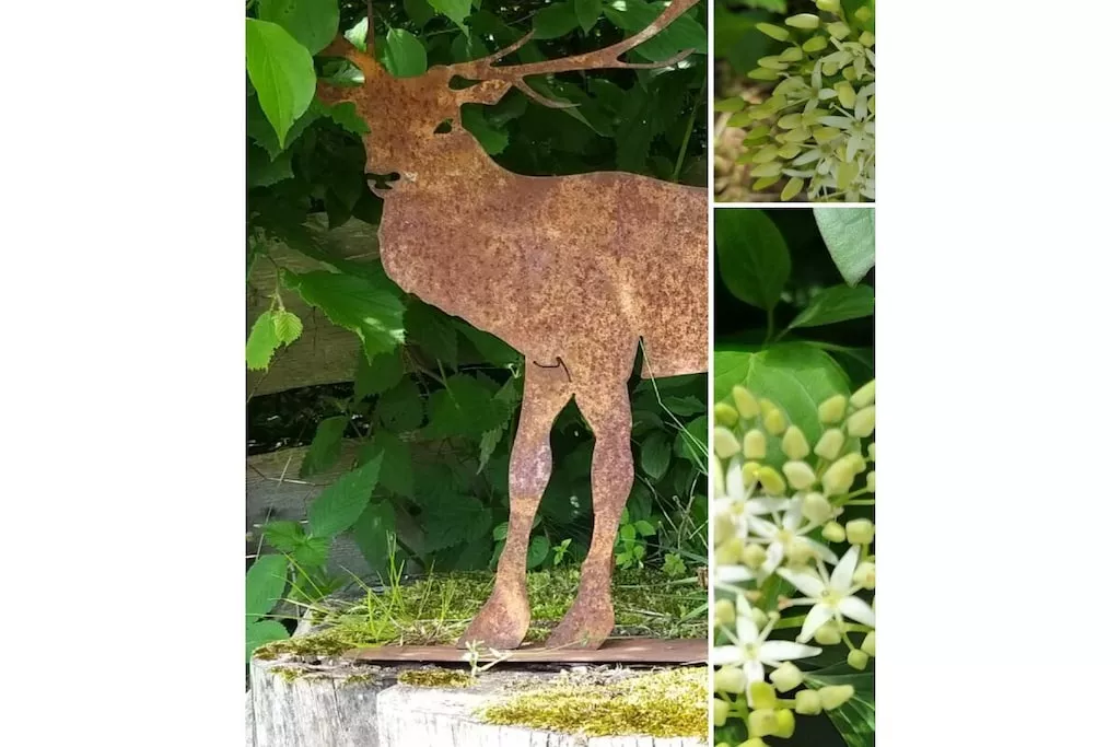 273368 - Niet-getagd