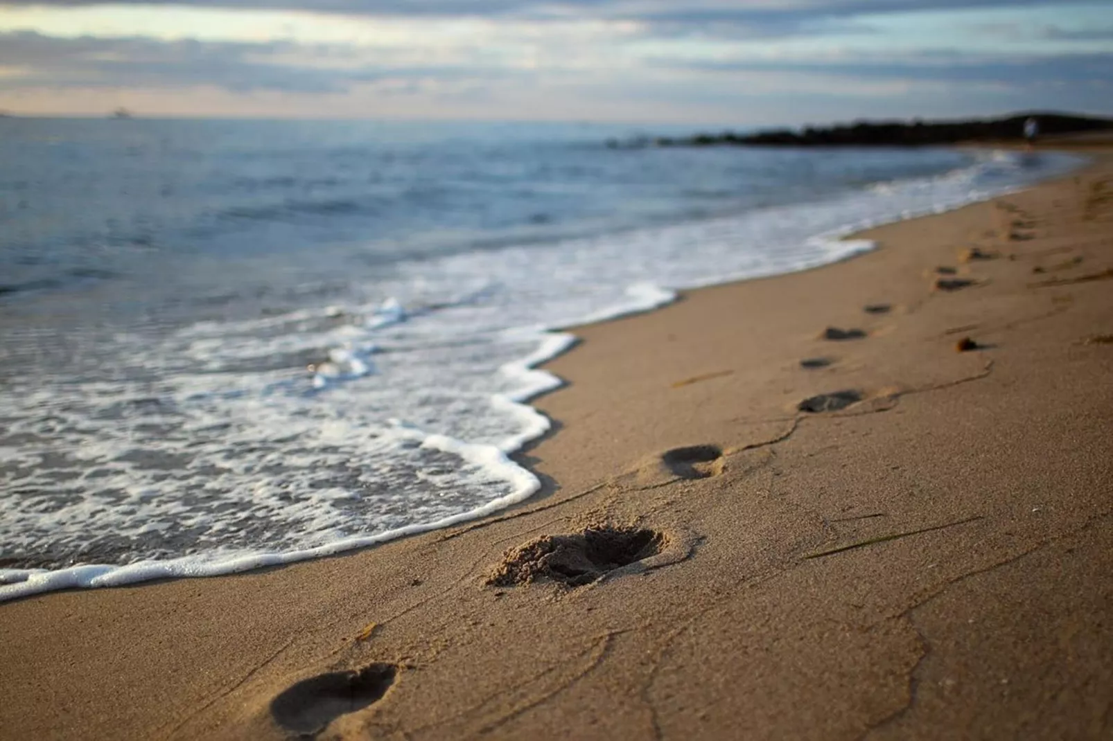 Seepark Sellin - 6 Personen-Gebieden zomer 5km
