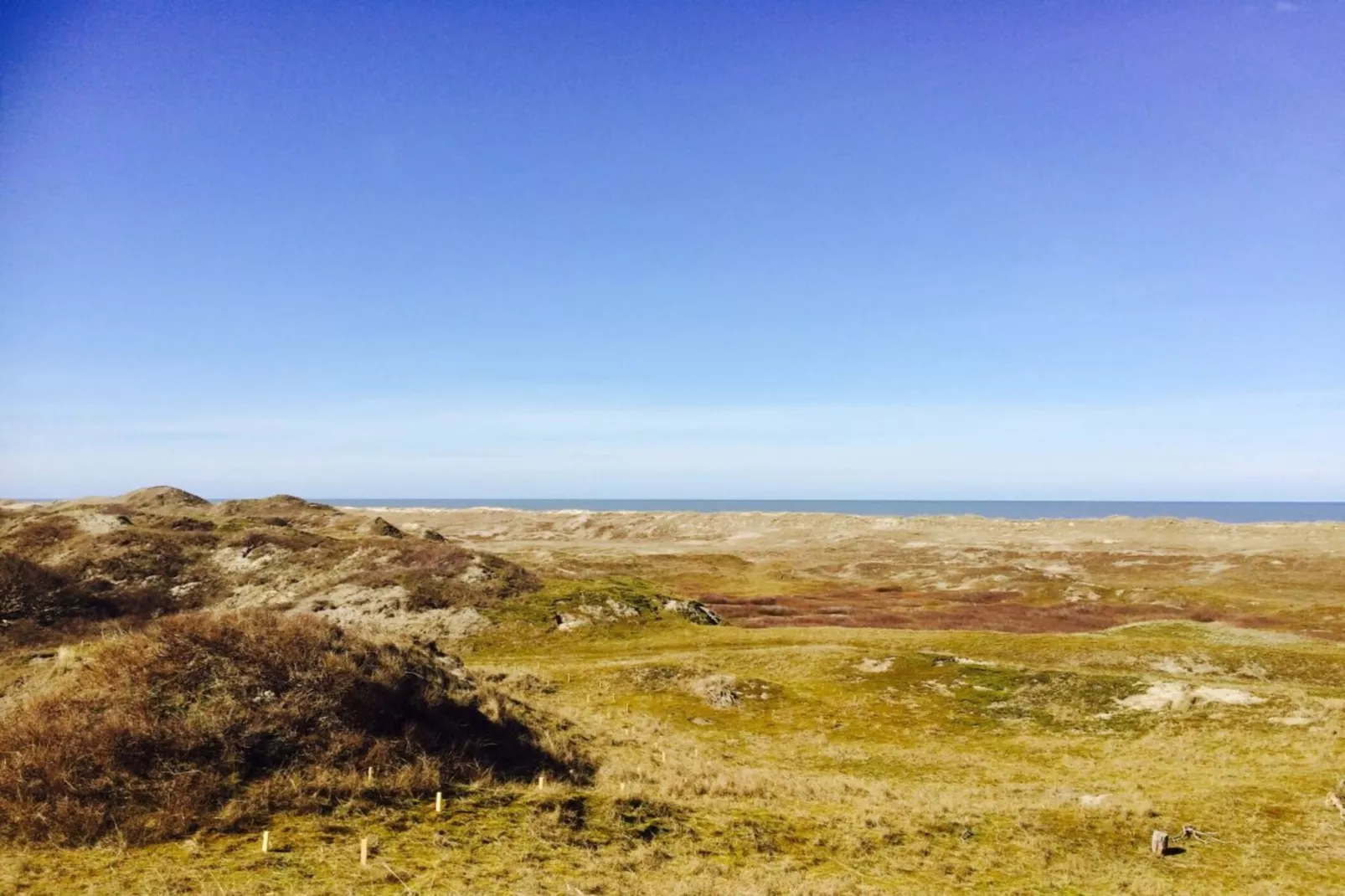 108684-Gebieden zomer 5km