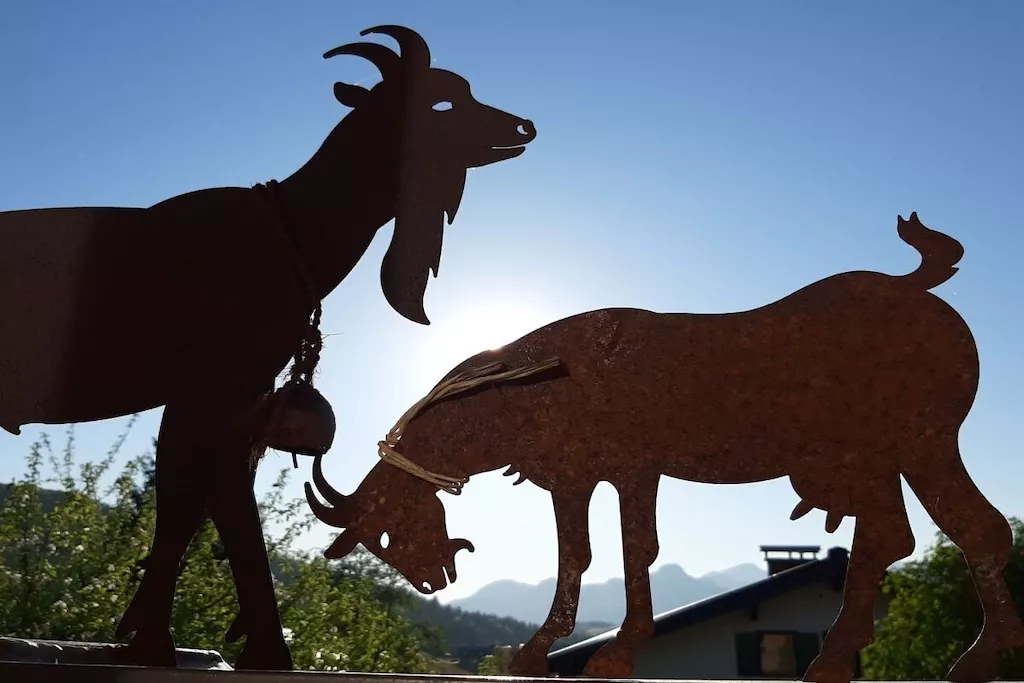 515566 - Niet-getagd