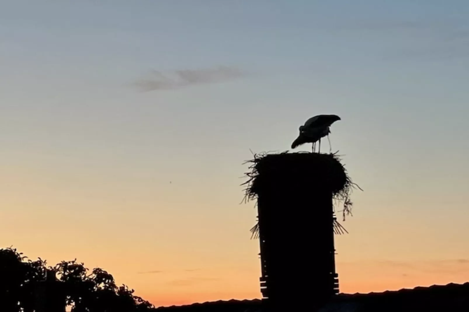 Fewo Gielow - Gebieden zomer 1km