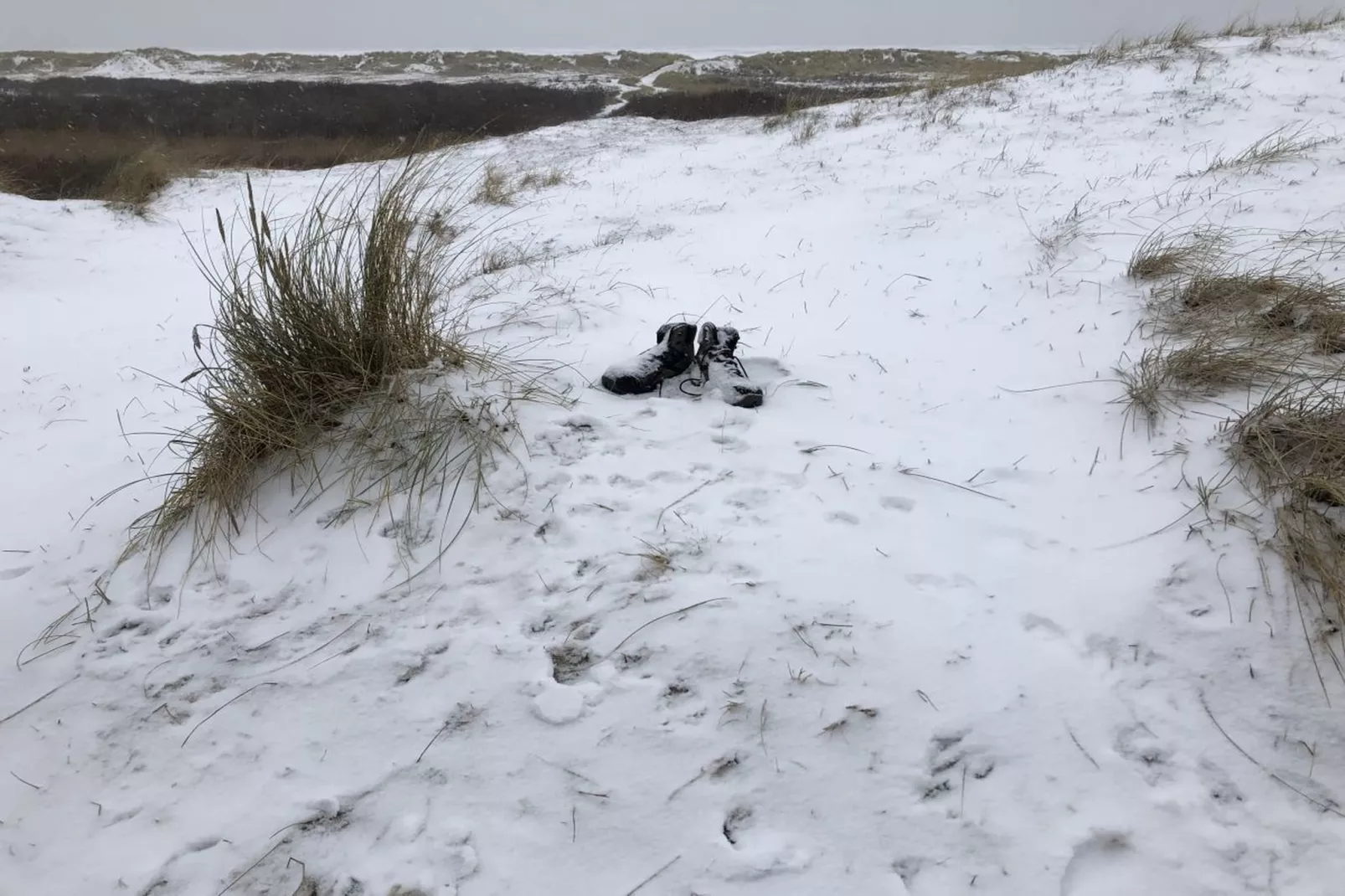 75889-Gebied winter 5km