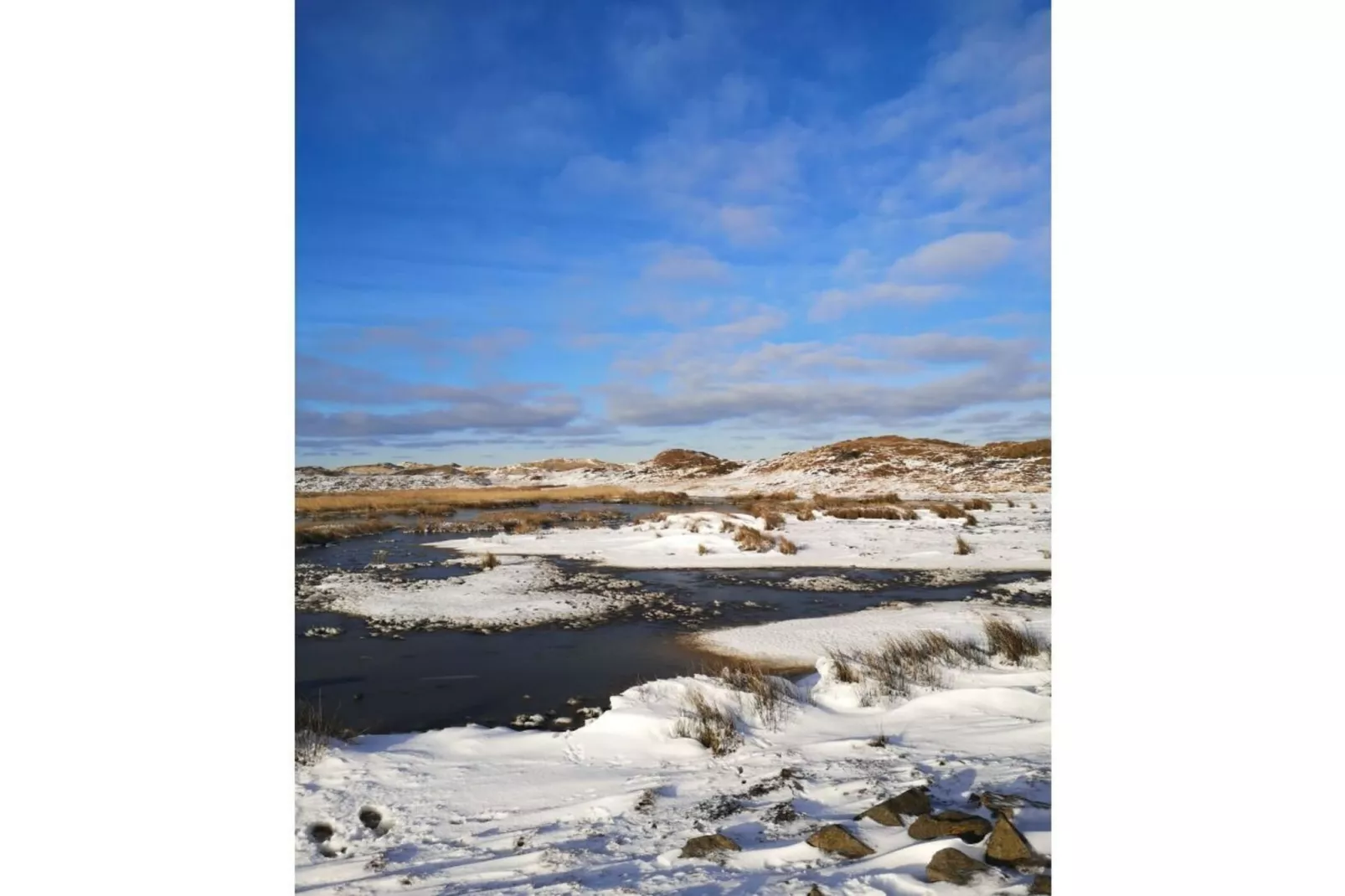 488119-Gebied winter 5km