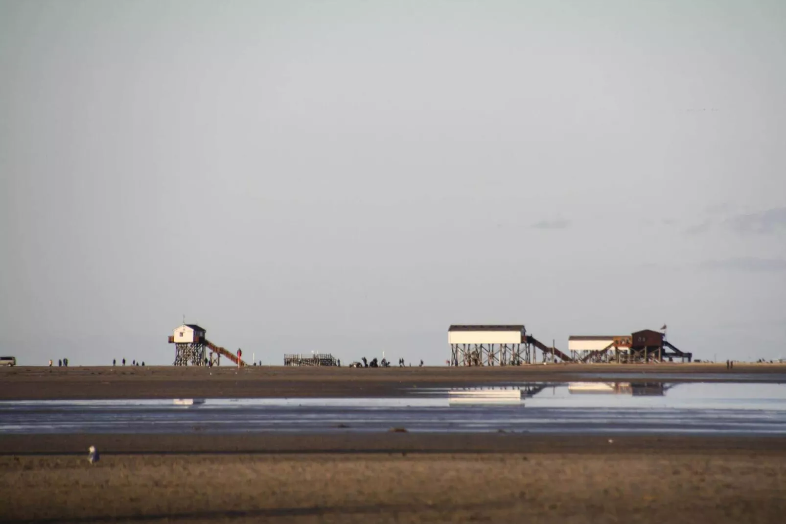 Ferienwohnung Deichglück 4 Pers-Waterzicht