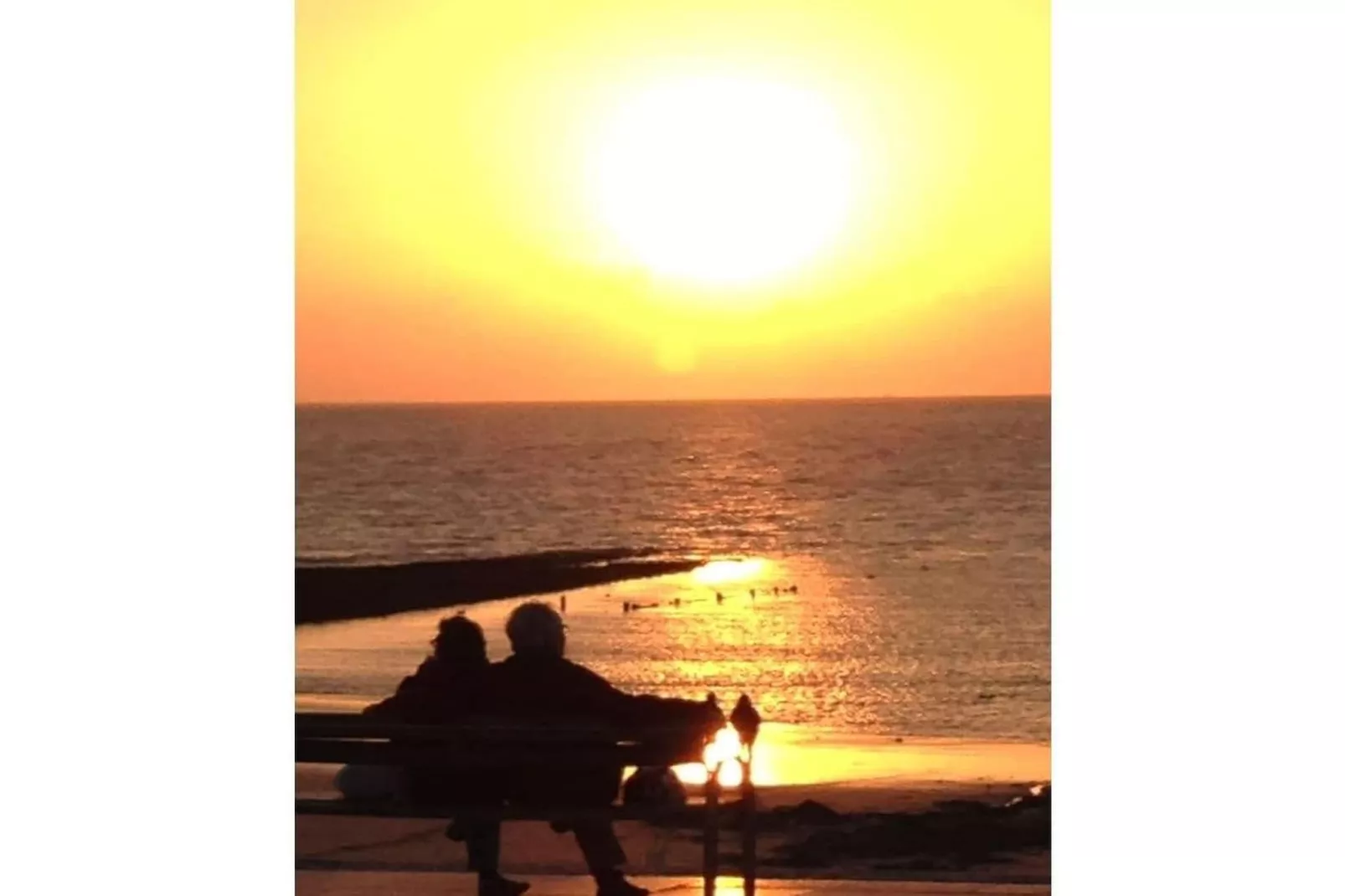 75890-Gebieden zomer 5km