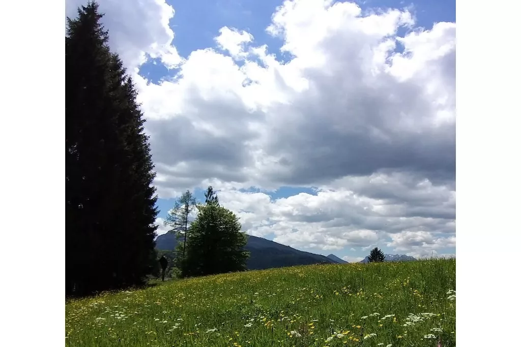 515578 - Niet-getagd