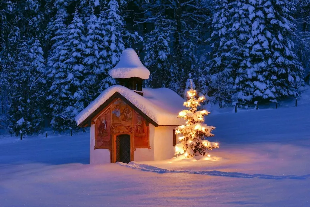 128304 - Niet-getagd