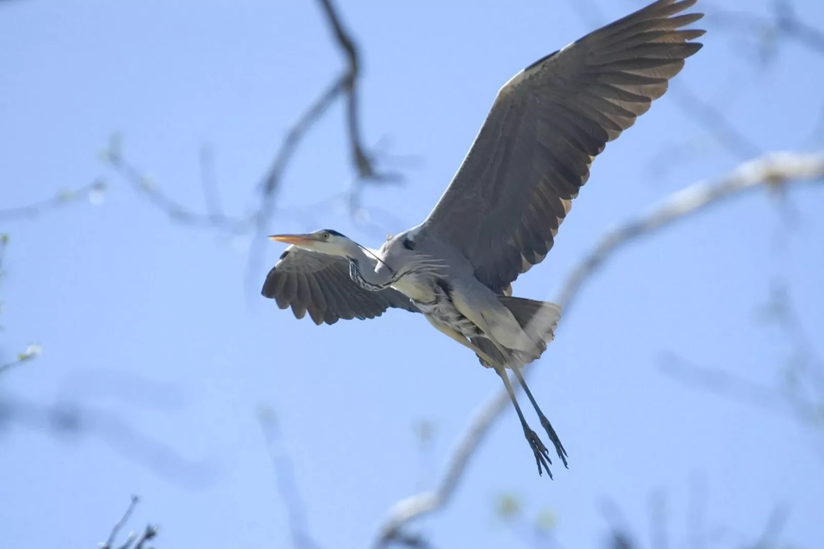 Apartments Rekowo 40 qm - Sfeer