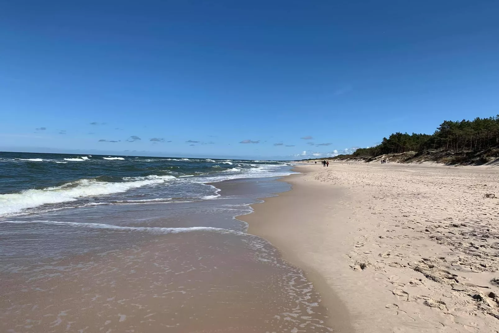 Domki wakacyjne JAROSZOWIEC domki 2-pokojowe Łazy - Uitzicht