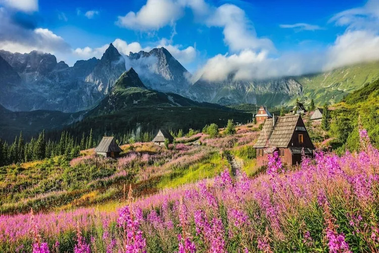 Dom wakacyjny TATRA WOOD HOUSE 3-Gebieden zomer 5km