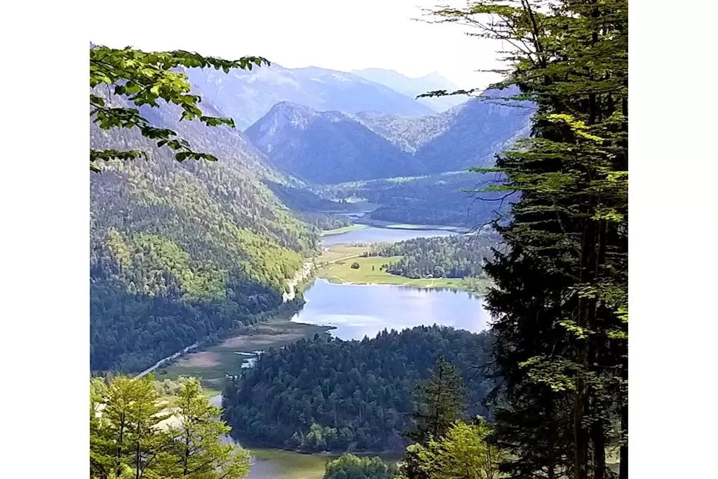 515578 - Niet-getagd