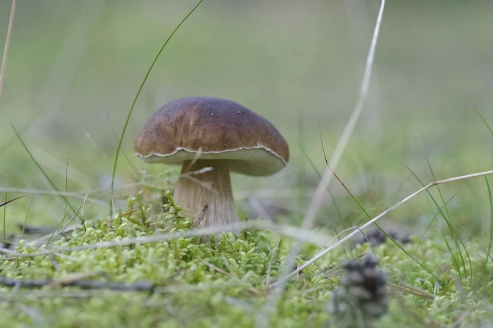 Apartments Rekowo 40 qm - Sfeer