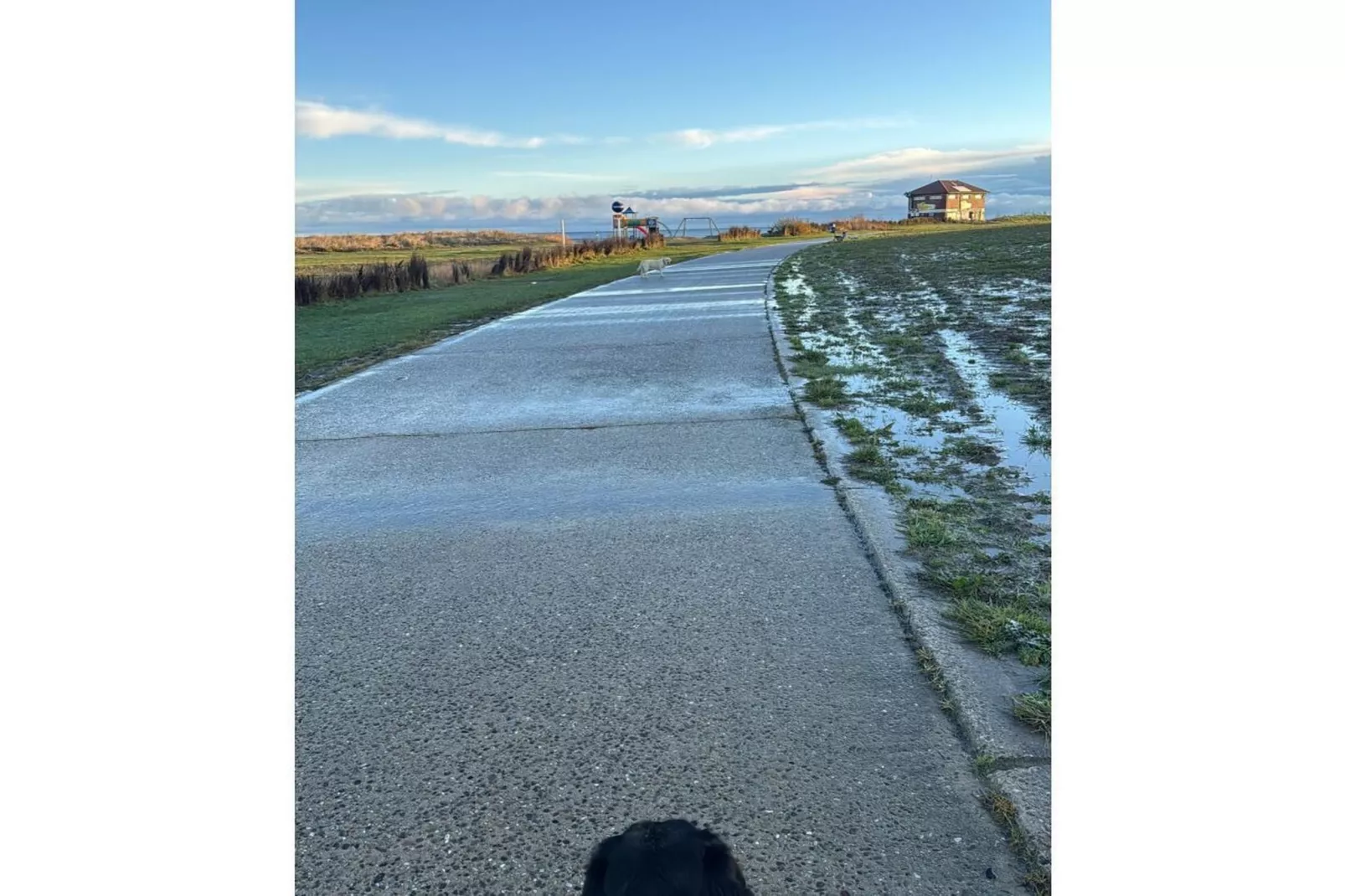 572620-Gebieden zomer 5km