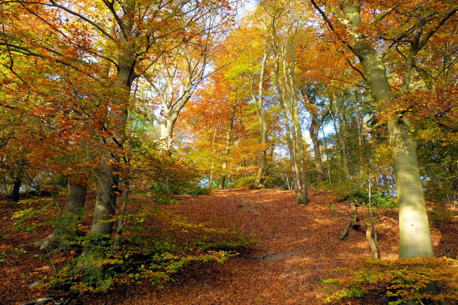 Vakantie bij Meeussen - Schuttersoord 1 - Gebieden zomer 5km