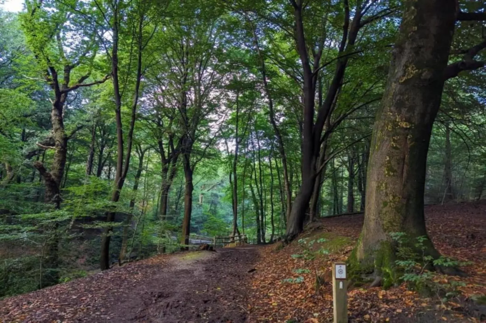 Vakantie bij Meeussen - Schuttersoord 1 - Gebieden zomer 20km