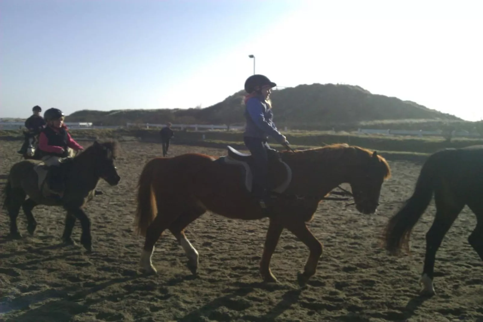 143116-Gebieden zomer 5km