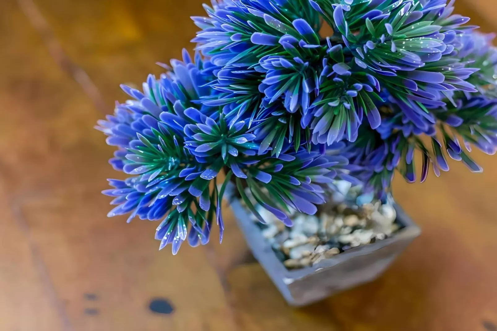 1265-+34618736920-Sfeer