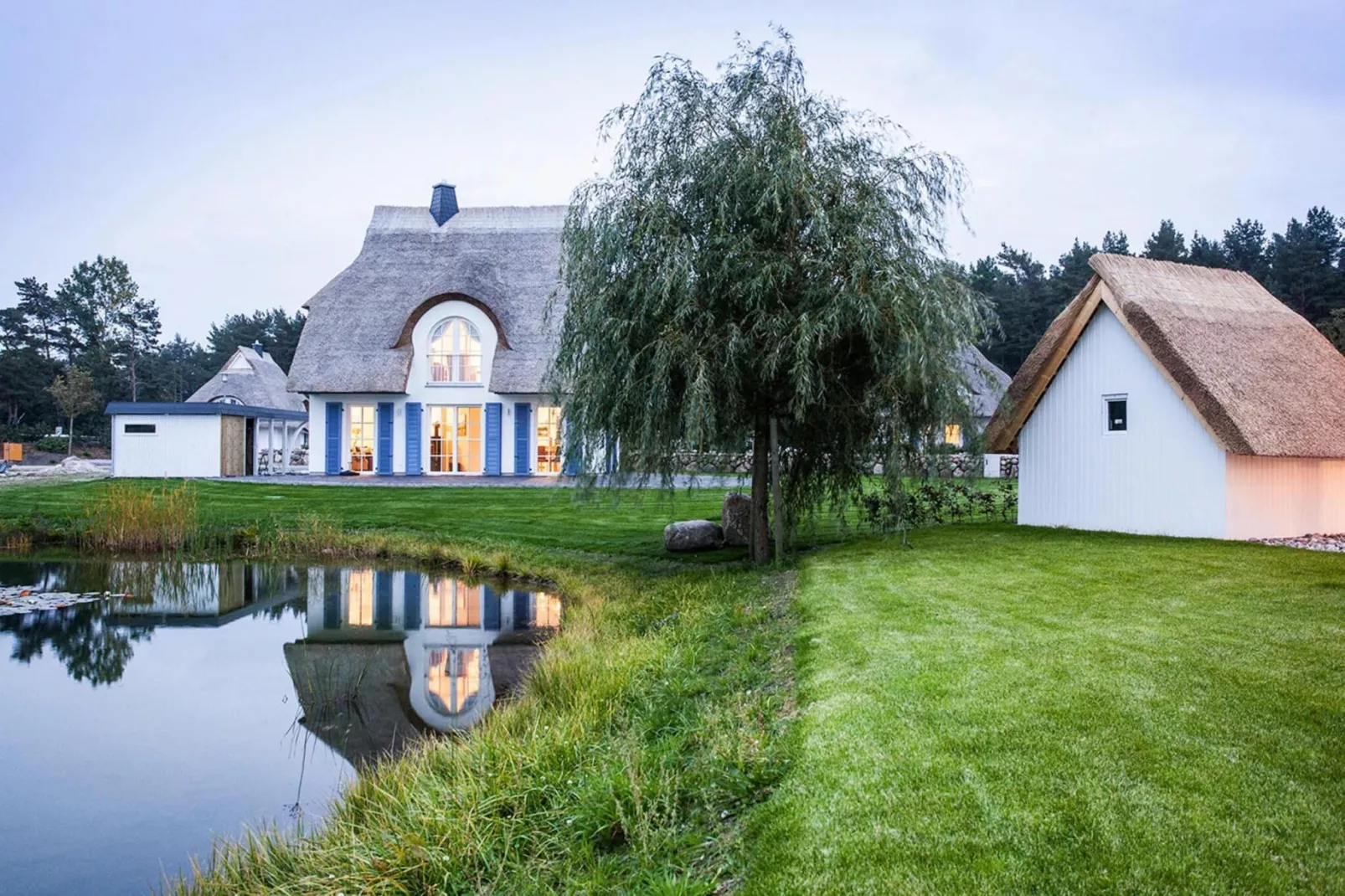 Schilfrohrsänger 18 - Buitenkant zomer