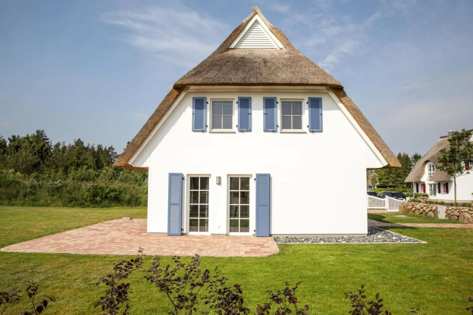 Schilfrohrsänger 43-Buitenkant zomer