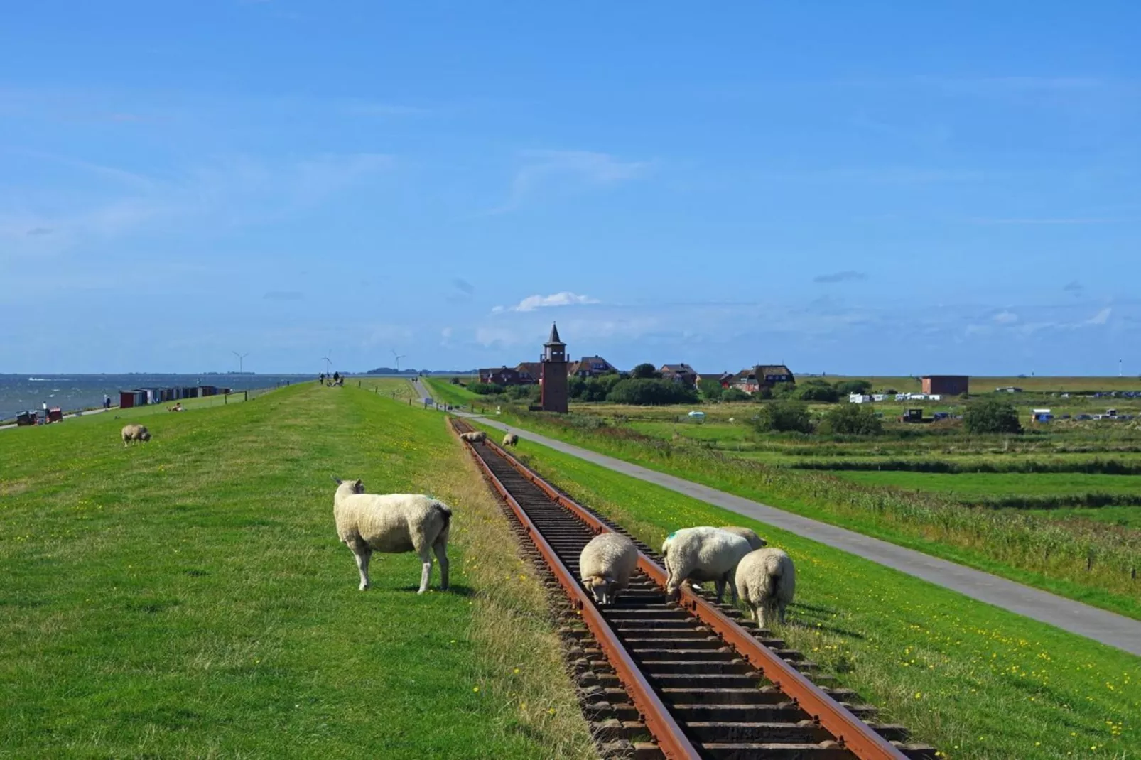 Niebüll-Ferienhaus Seebrise - Gebieden zomer 5km