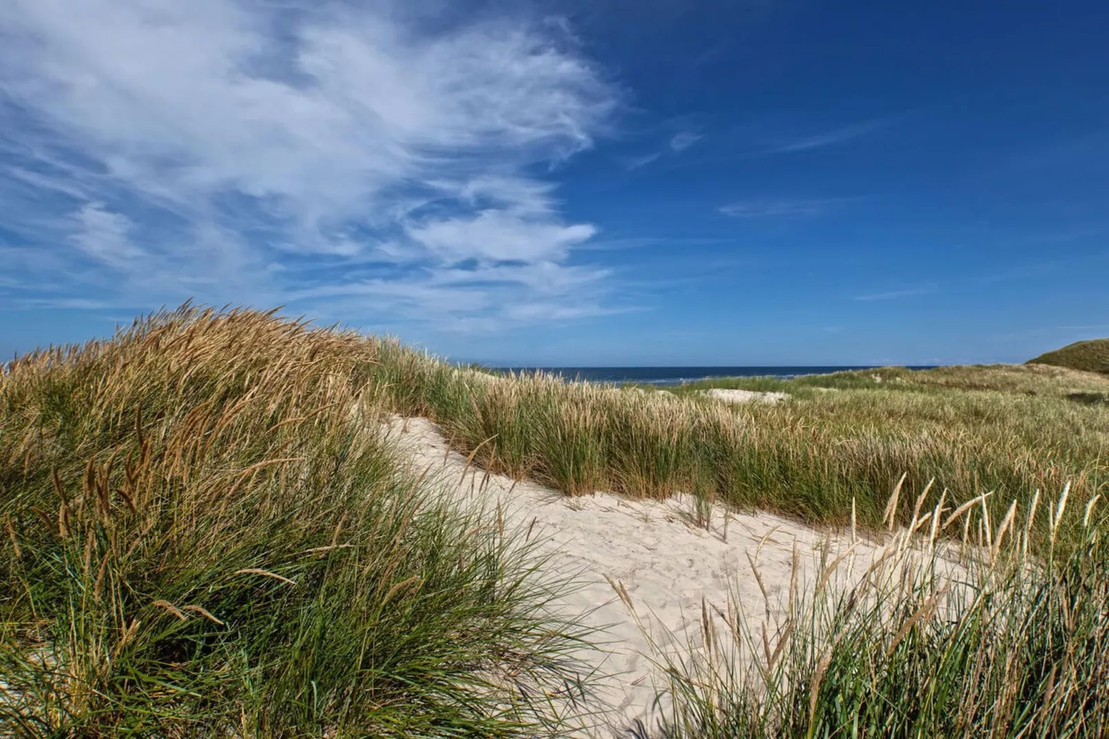 210744-Gebieden zomer 5km
