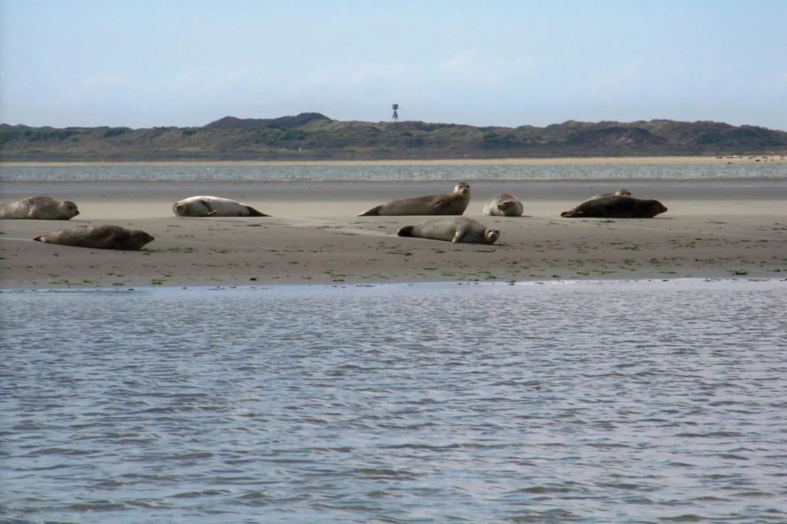 131316-Gebieden zomer 5km