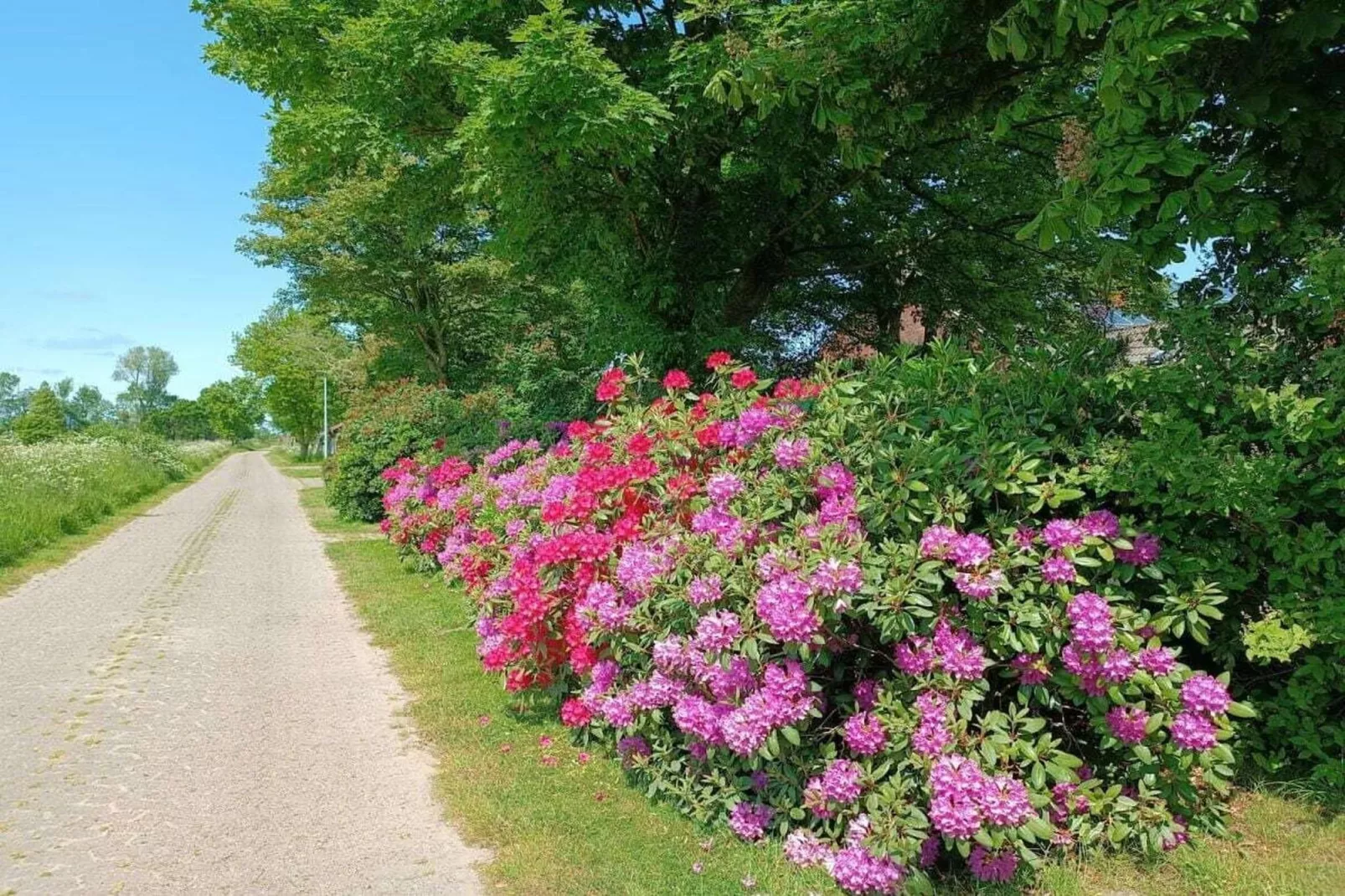 268431-Gebieden zomer 1km