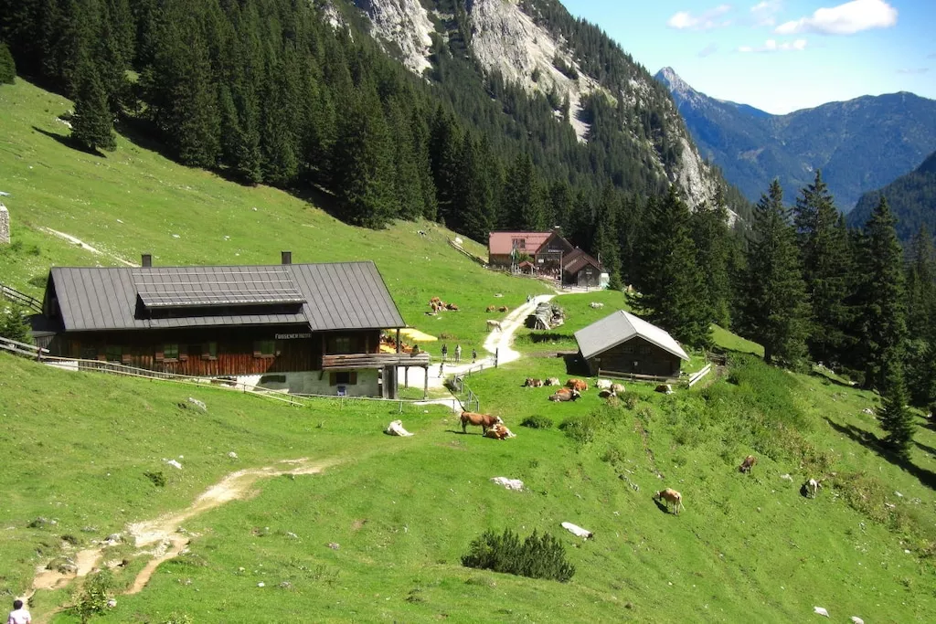 128304 - Niet-getagd