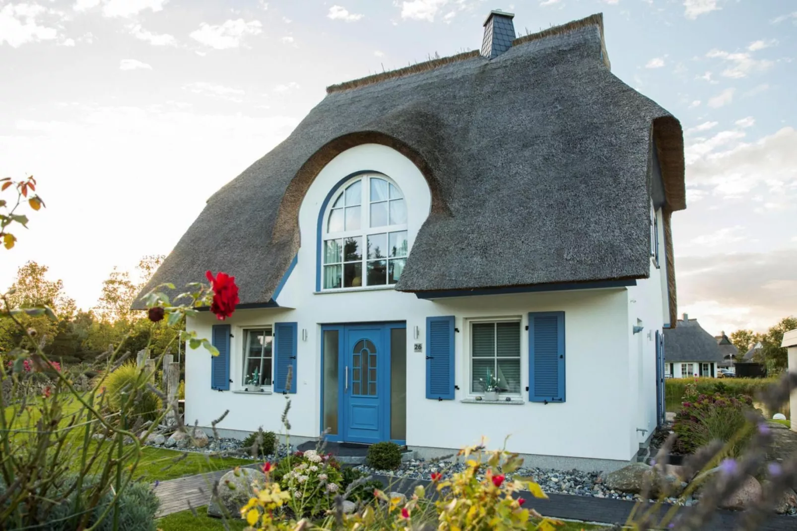 Schilfrohrsänger 18 - Buitenkant zomer