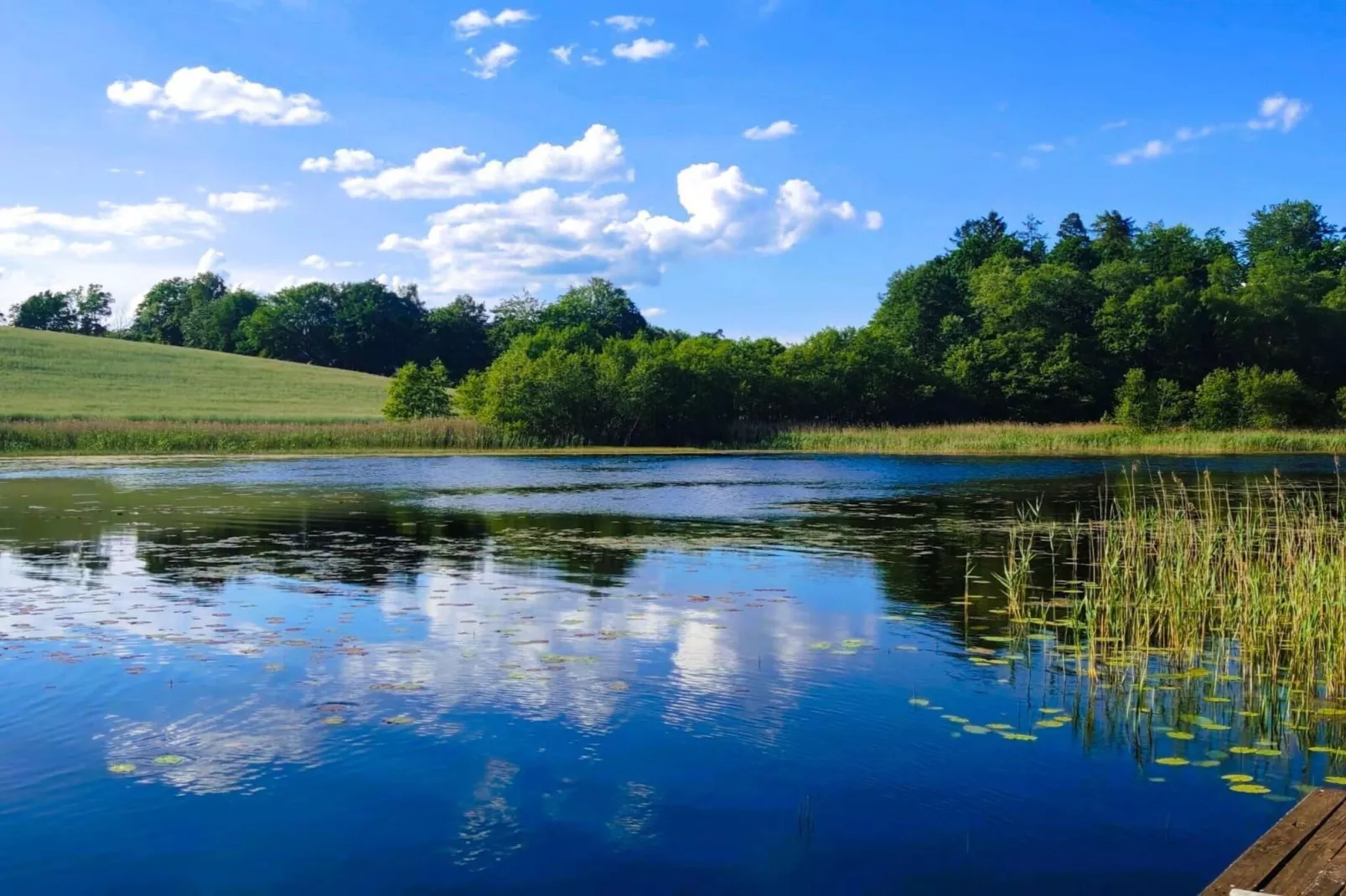 Apartments Rekowo 40 qm - Uitzicht