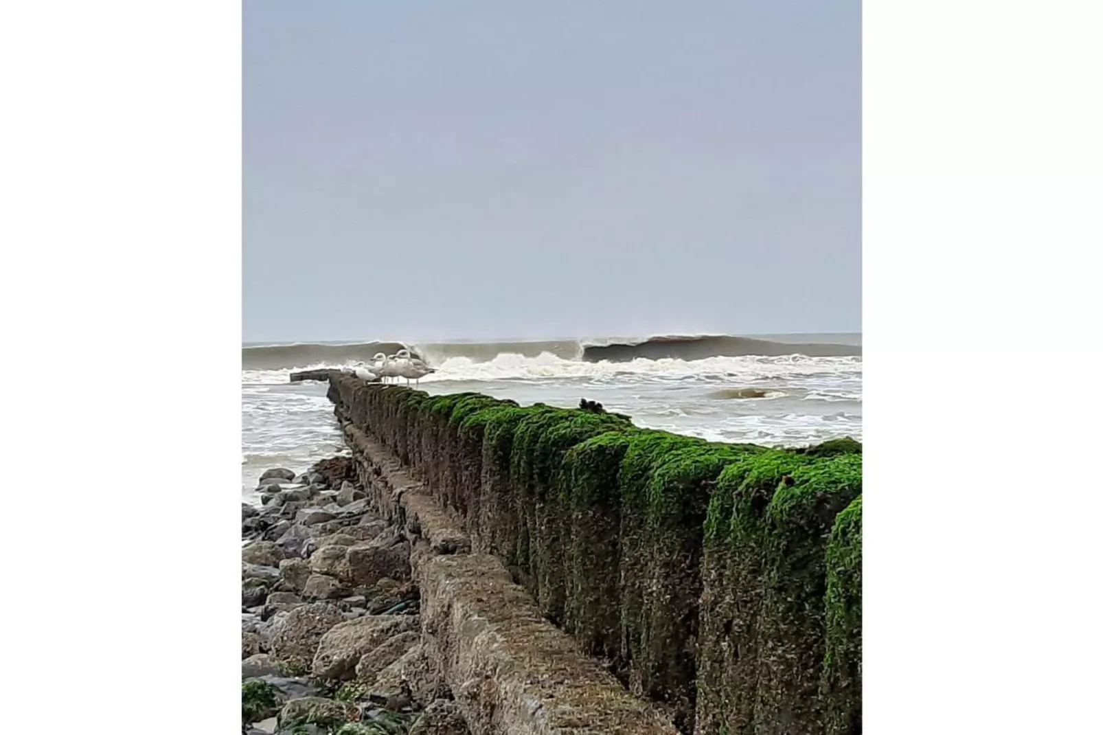 201689-Gebieden zomer 5km